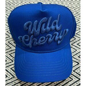 NWT WILD Pepsi Cola Soda BLUE Snapback Trucker Hat LAW ROACH RARE